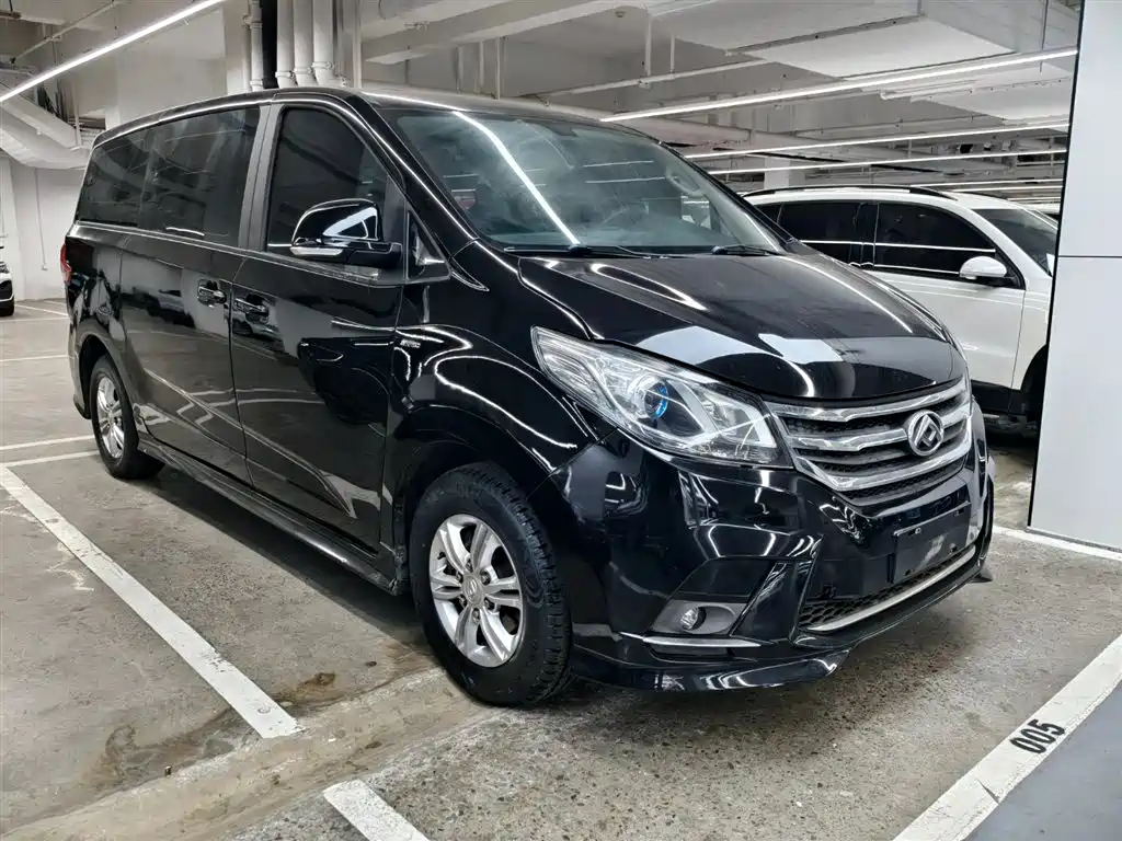 SAIC MAXUS CHASE G10