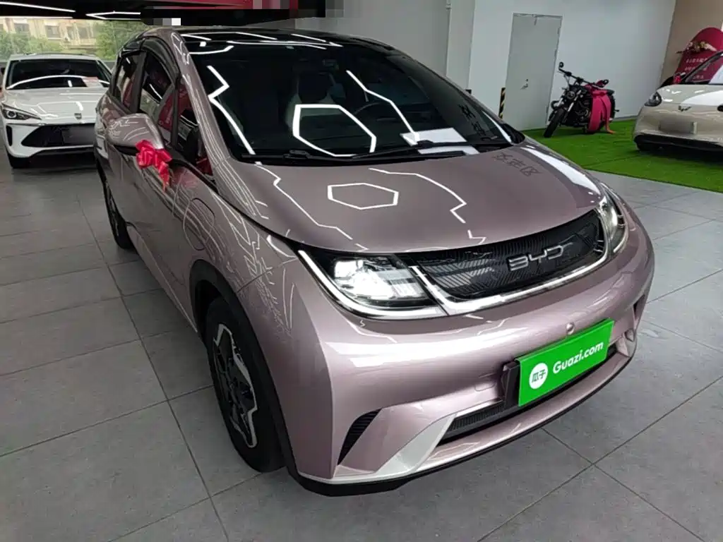 Фото 4 - BYD Dolphin