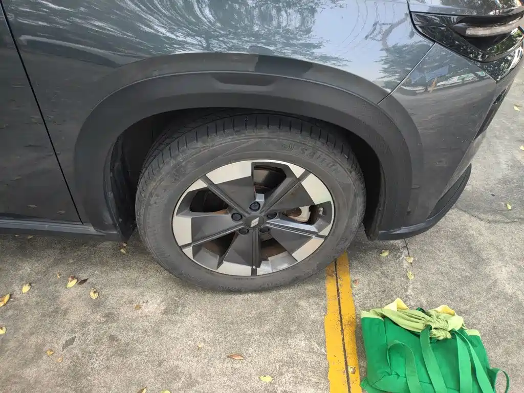 Ruilan Auto Ruilan 7 2023 2023 605km Hunter Light