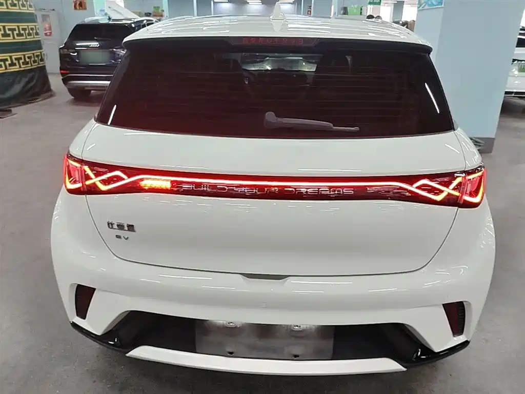 BYD Dolphin 2023 420km Fashion Edition фото 6
