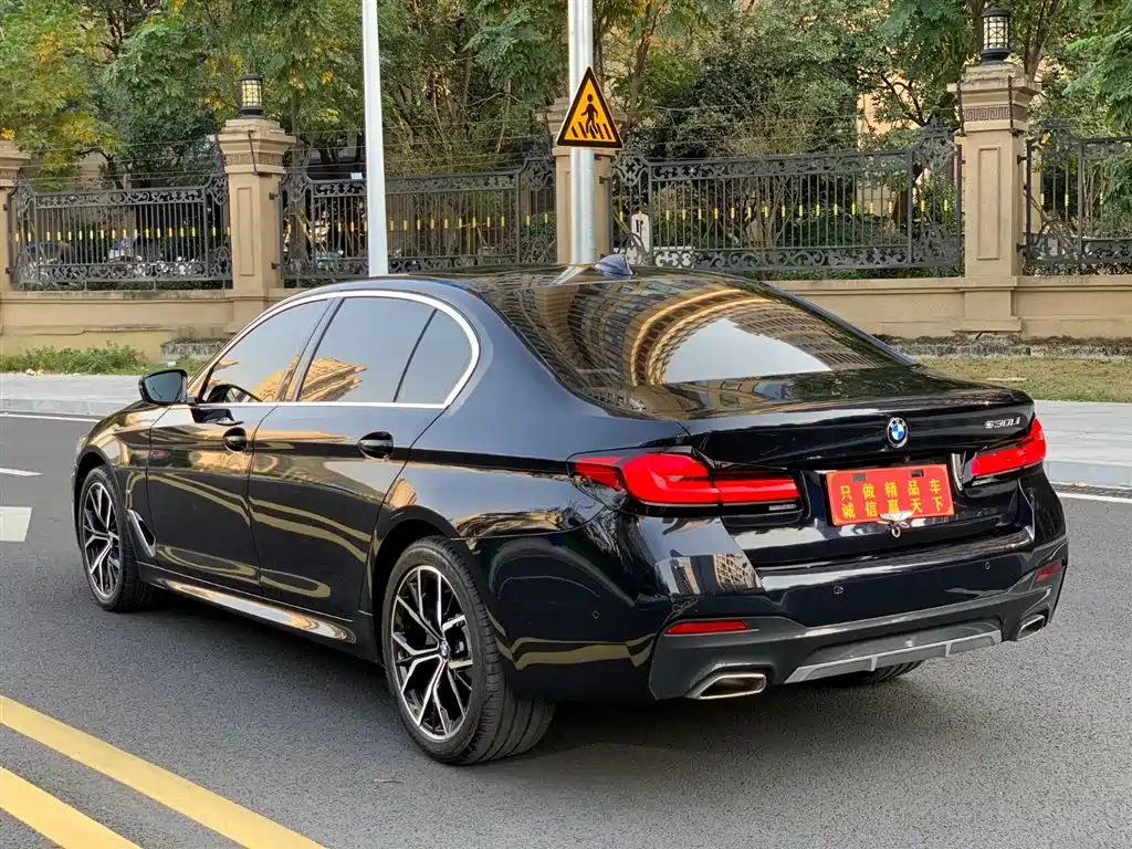 BMW 5 Series 2022 Facelift II 530Li Premium Package M Sport фото 21