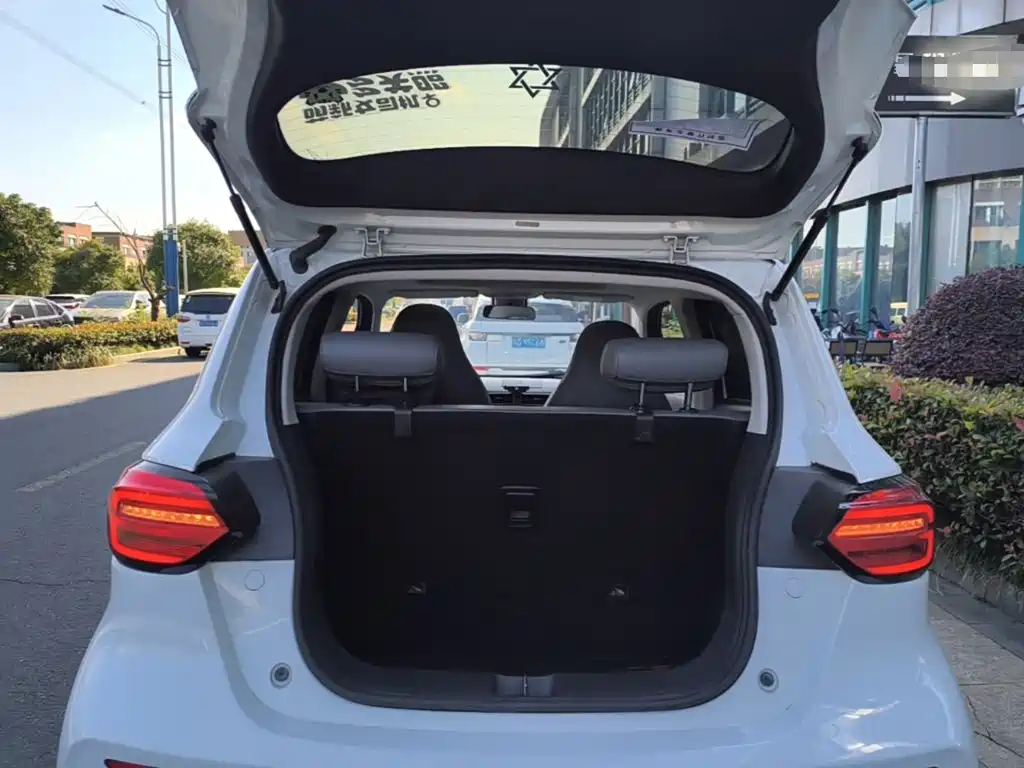 Leapmotor T03 2021 2021 400 Luxury Edition