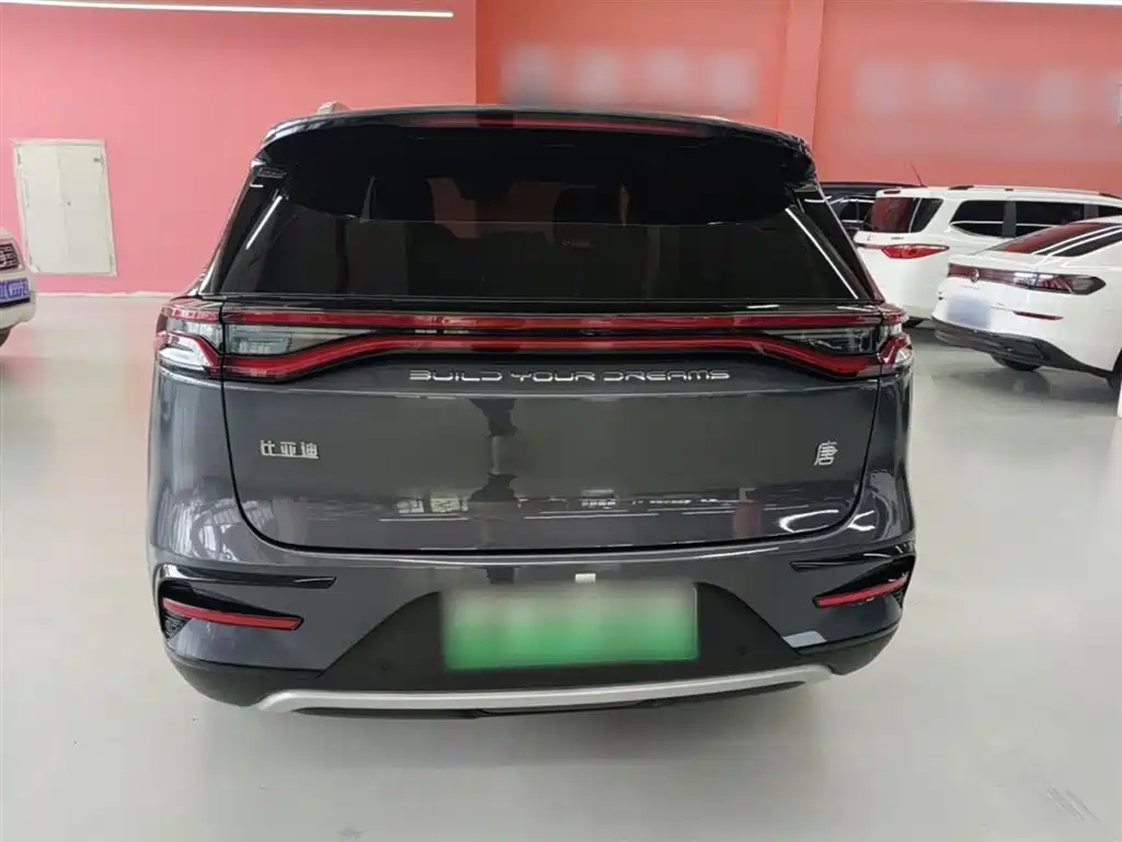 BYD Tang New Energy 2021 DM-i 112KM Honor фото 6
