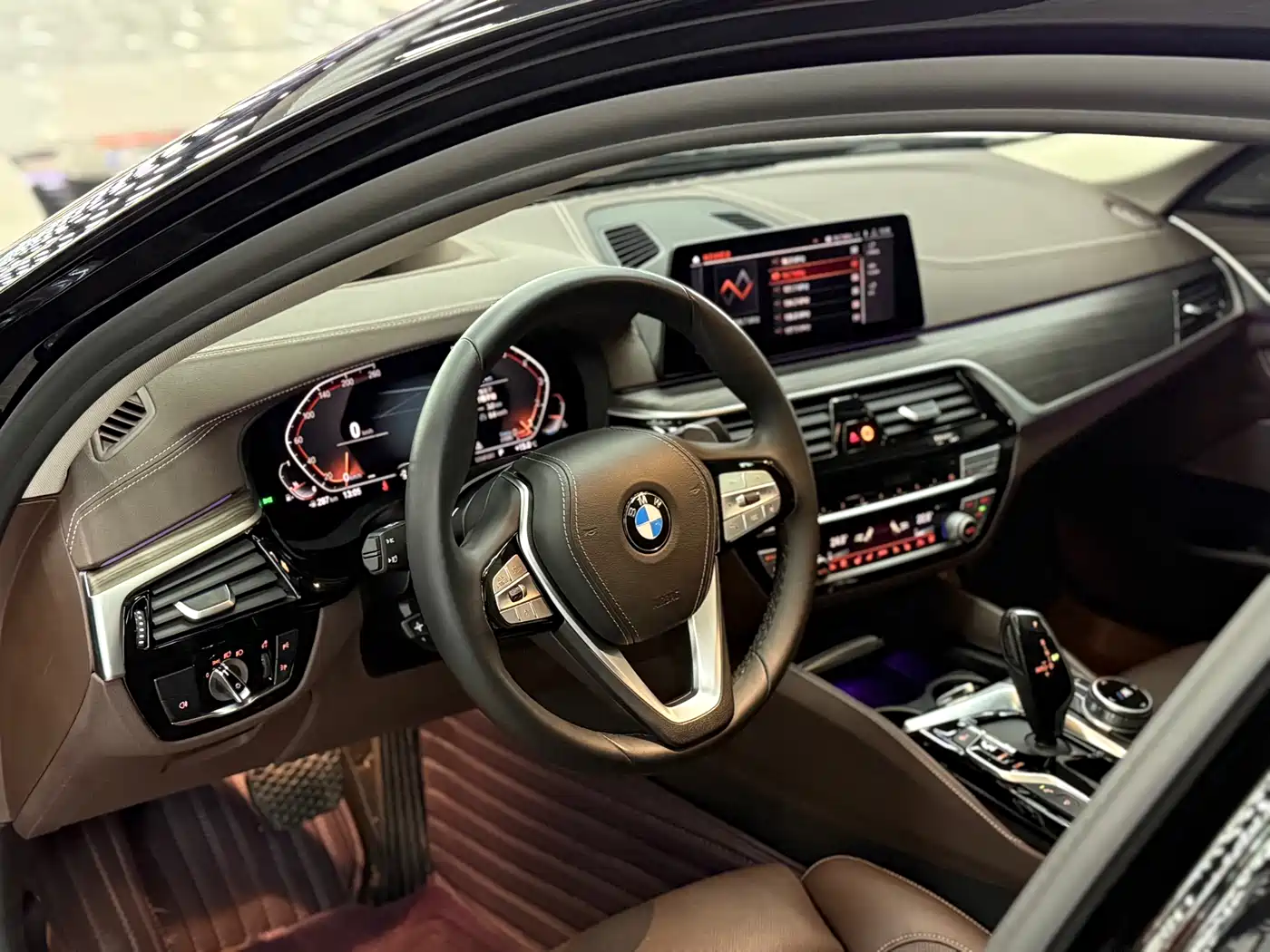 BMW 5 Series 2020 530Li Premium Luxury Package фото 5