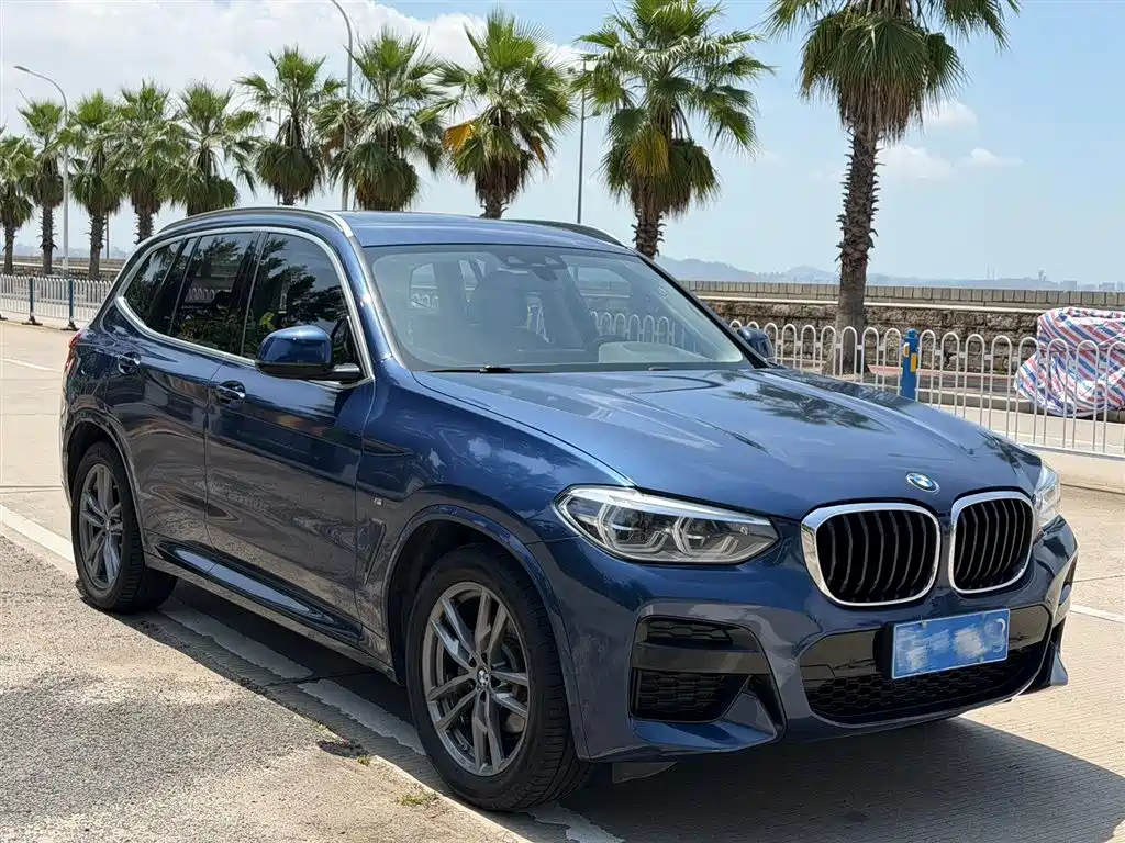 BMW X3 2021 xDrive25i Luxury Package фото 2