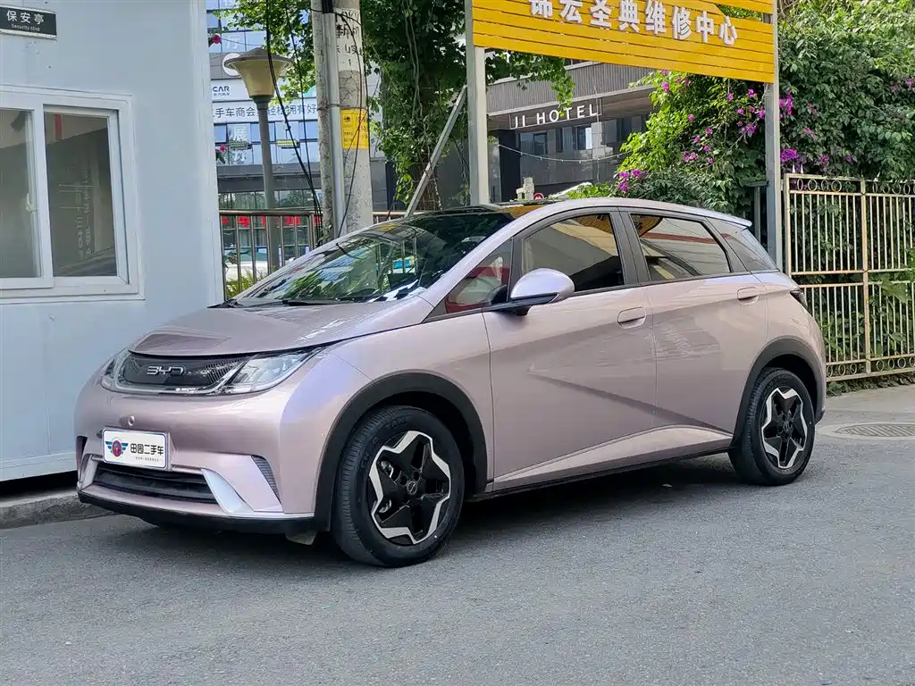BYD Dolphin 2021 Model 405km Fashion Edition
