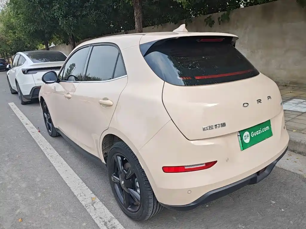 Ora Good Cat 2024 2024 401km Luxury