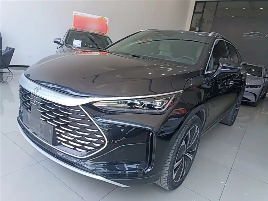 BYD Tang New Energy 2022 DM-p 215KM AWD Flagship фото 2
