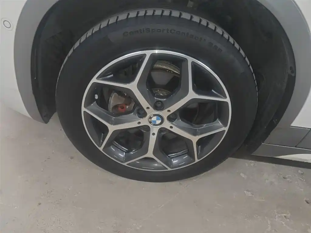 BMW X2 (Import) 2019 sDrive20i M Off-Road Package China VI фото 23