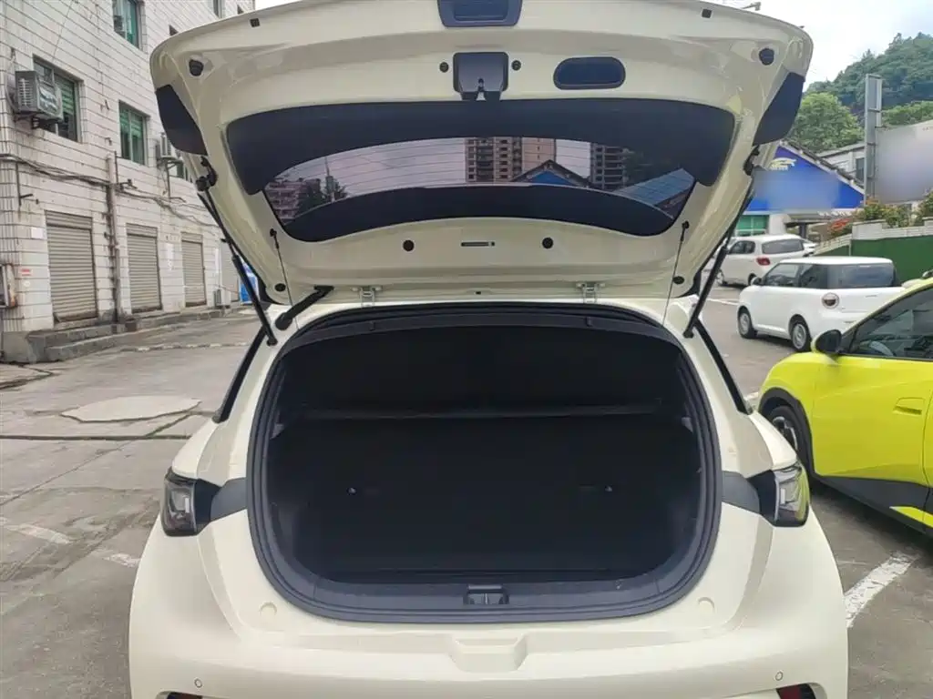 BYD Dolphin 2021 Model 405km Fashion Edition фото 19