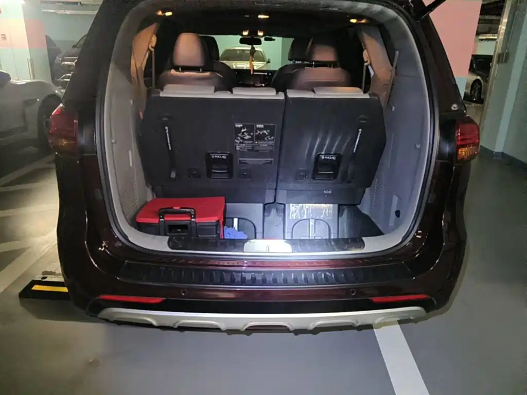 2016 Kia Carnival (Import)