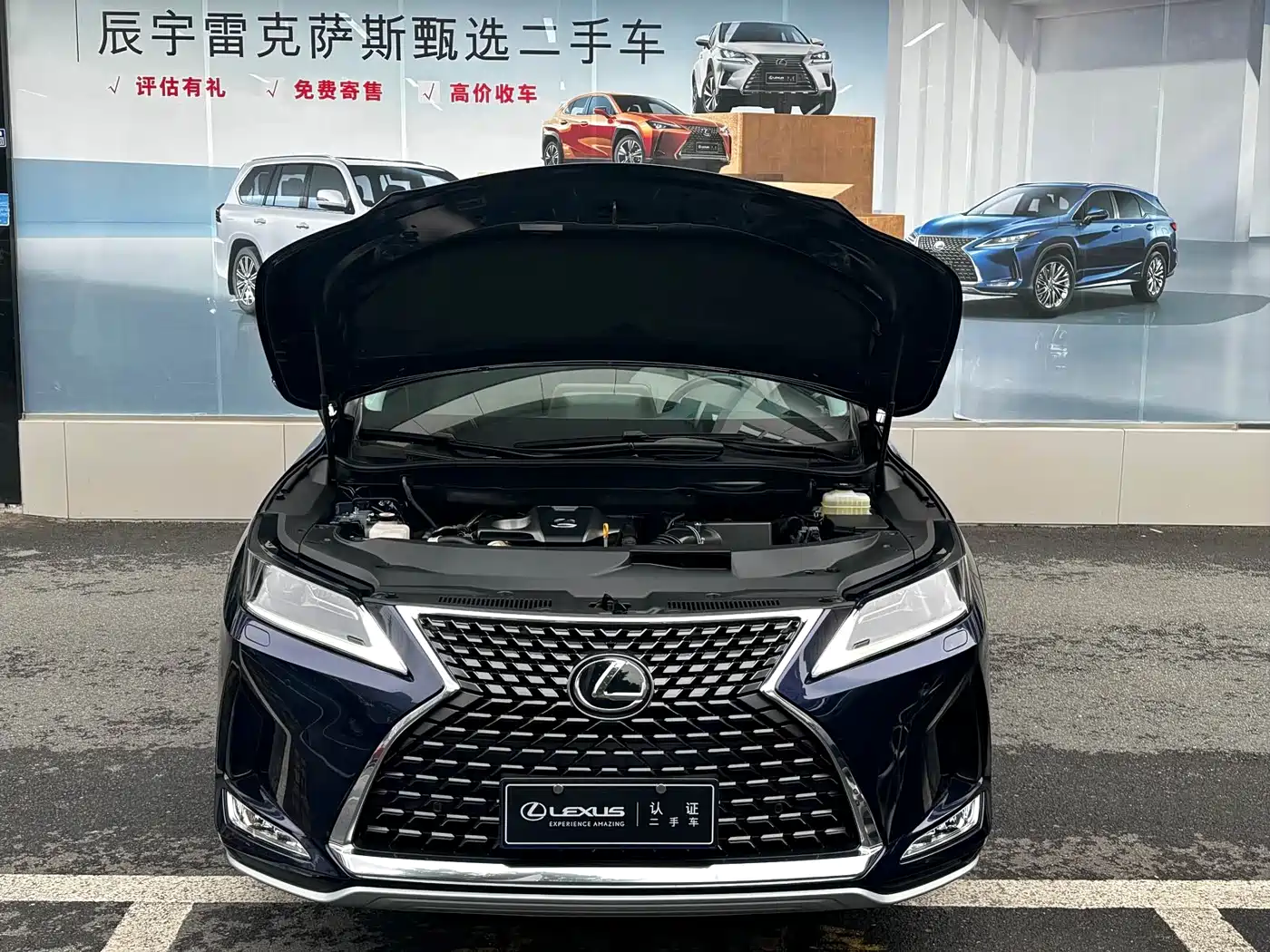 LEXUS RX