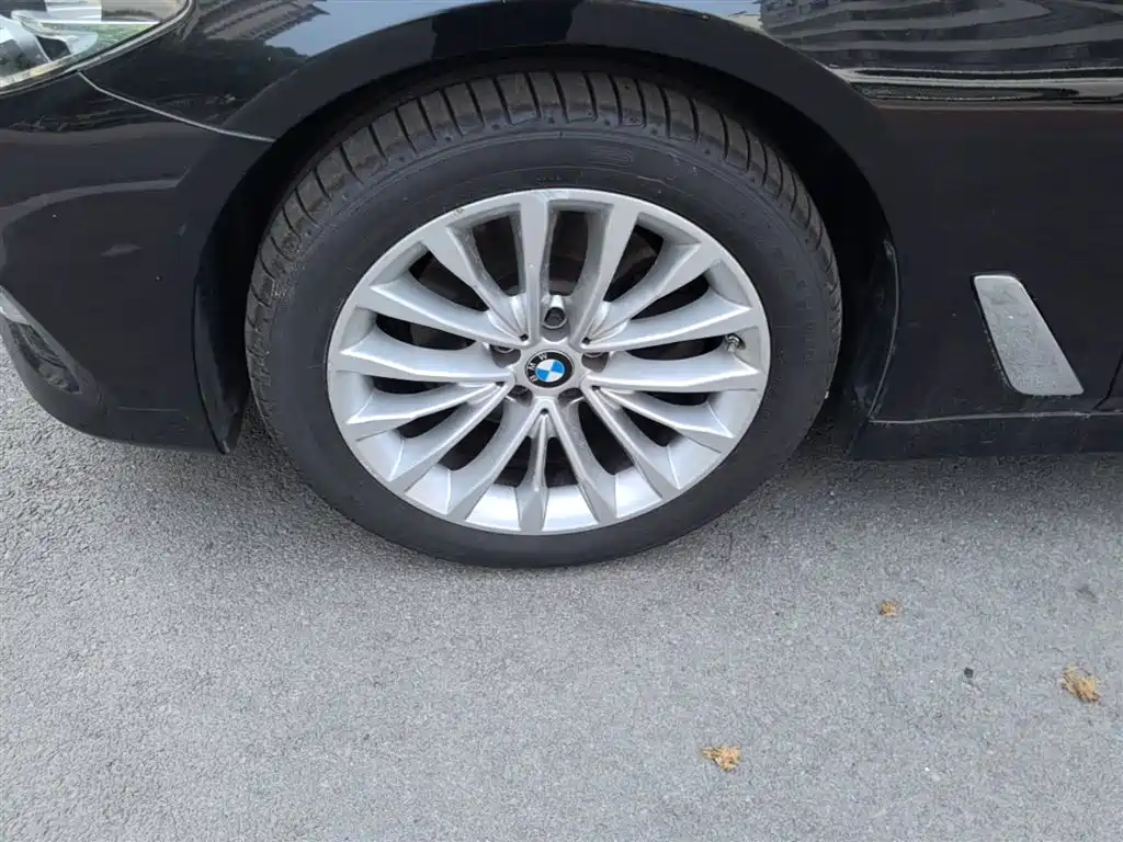 BMW 5 Series 2020 525Li Luxury Package фото 23