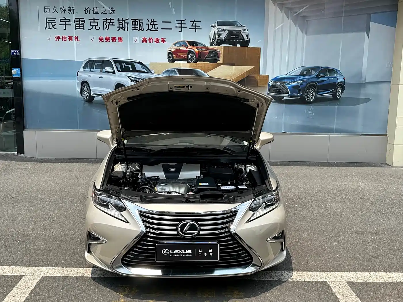 Lexus ES 2015 200 Elite Edition фото 3