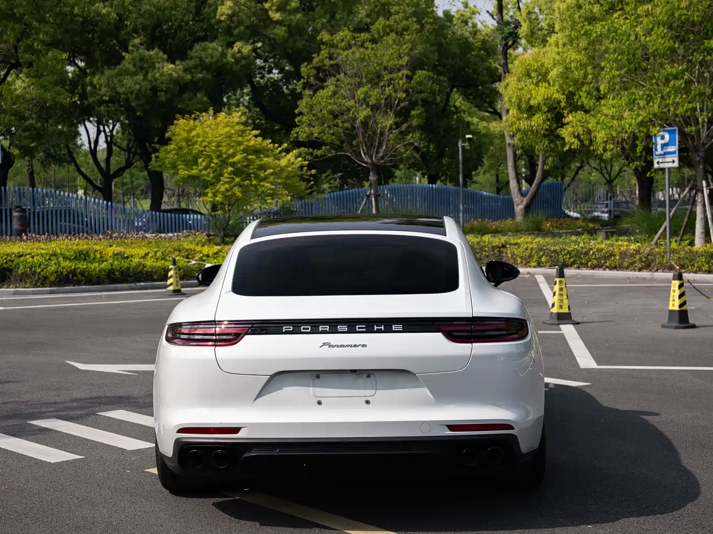 Porsche Panamera 2020 Panamera 10th Anniversary Edition 2.9T фото 6