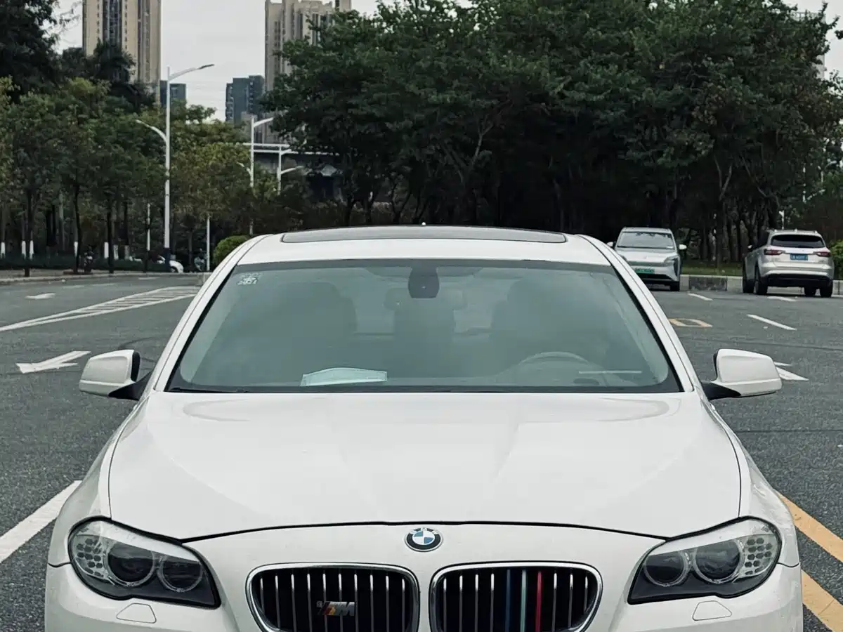 BMW 5 Series 2013 530Li Leadership фото 2