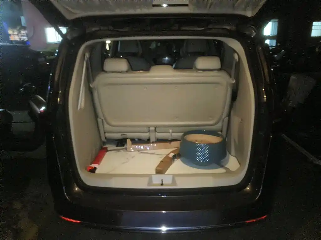 Фото 5 - Buick GL8