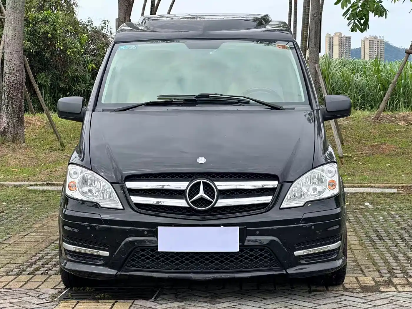 Mercedes-Benz Vito 2013 3.0L Business Edition фото 2