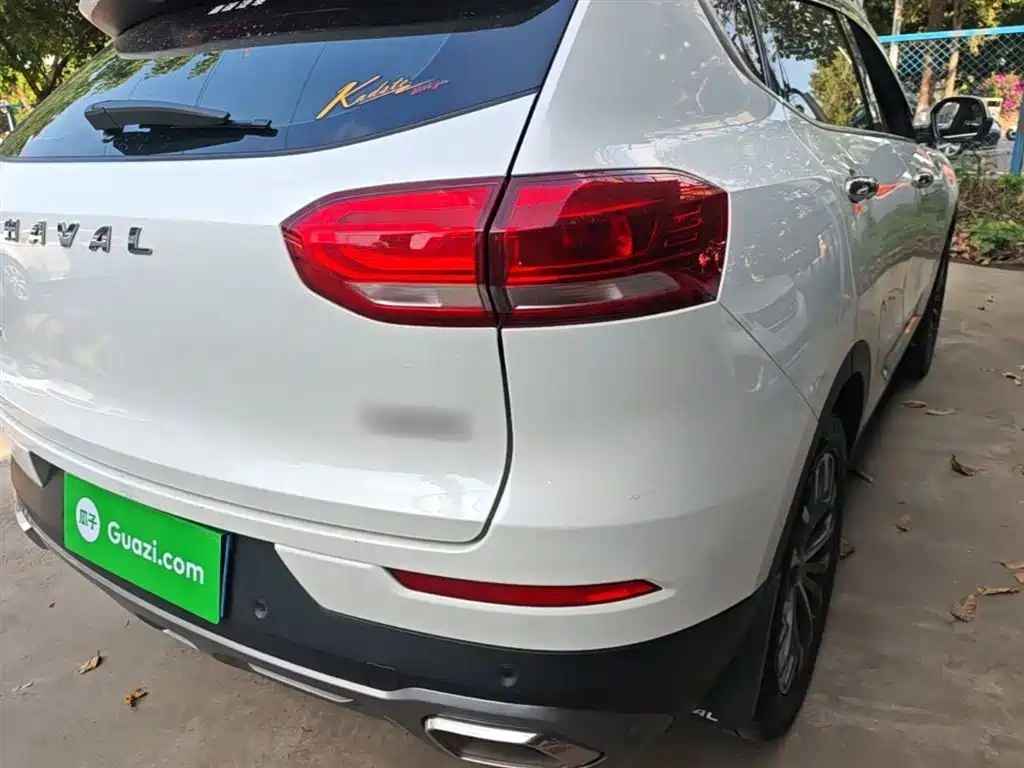 Haval H6 2020 1.5GDIT Automatic Platinum Champion Edition фото 8