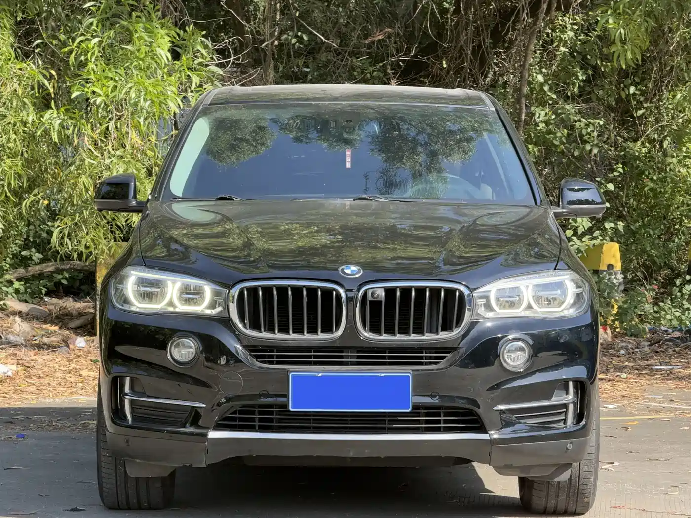 BMW X5 (Import) 2017 xDrive35i Leading Edition фото 2