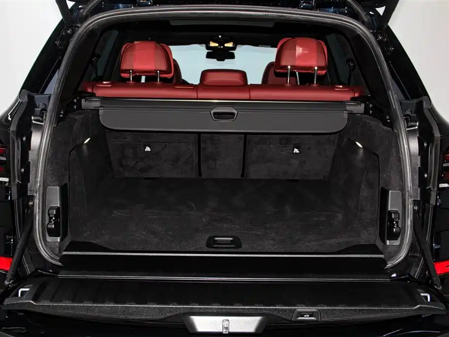 BMW X5 2023 xDrive 40Li M Sport Black Night Package фото 35