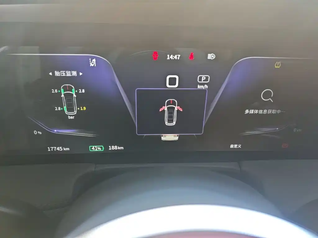 Hongqi E-HS9 2024 2021 460km Flagship Comfort 6-seater