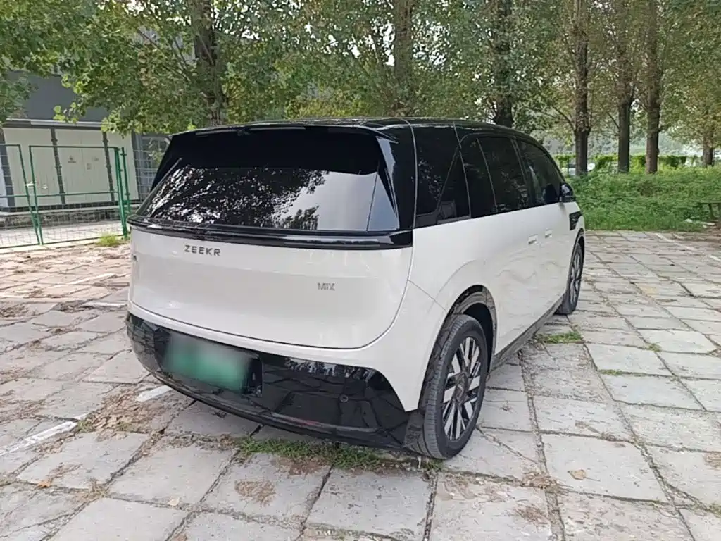 ZEEKR MIX 2025 2025 Long Range Intelligent Driving Edition