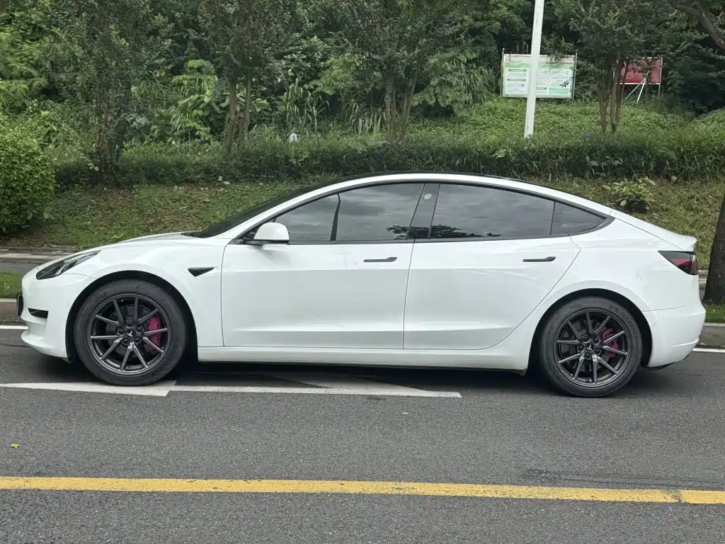 Tesla Model 3 2020 2020 Standard Range Rear-Wheel Drive Upgrade