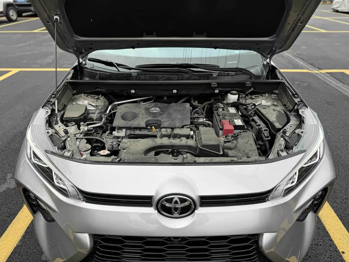 TOYOTA WILANDA
