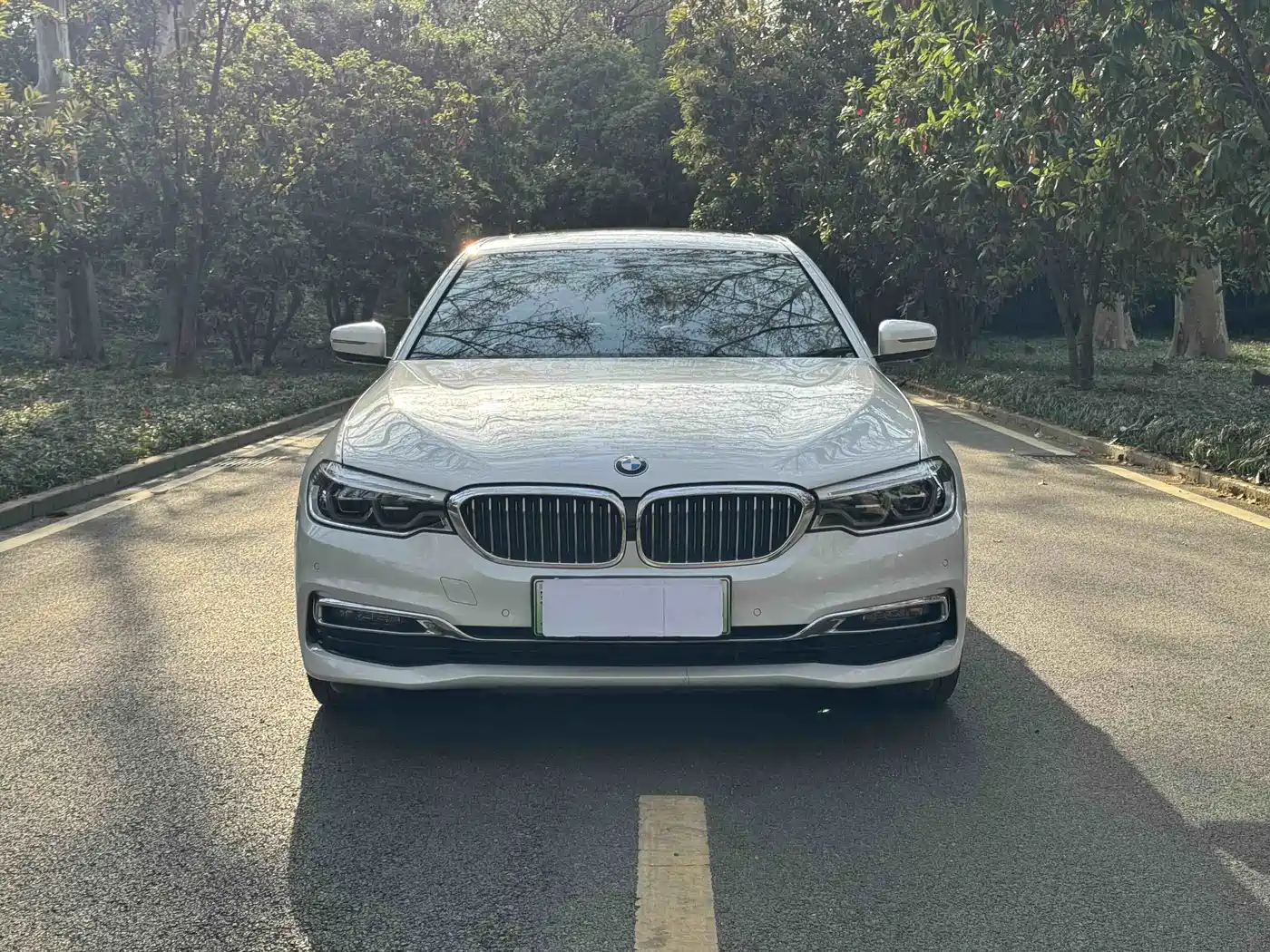 BMW 5 SERIES NEW ENERGY