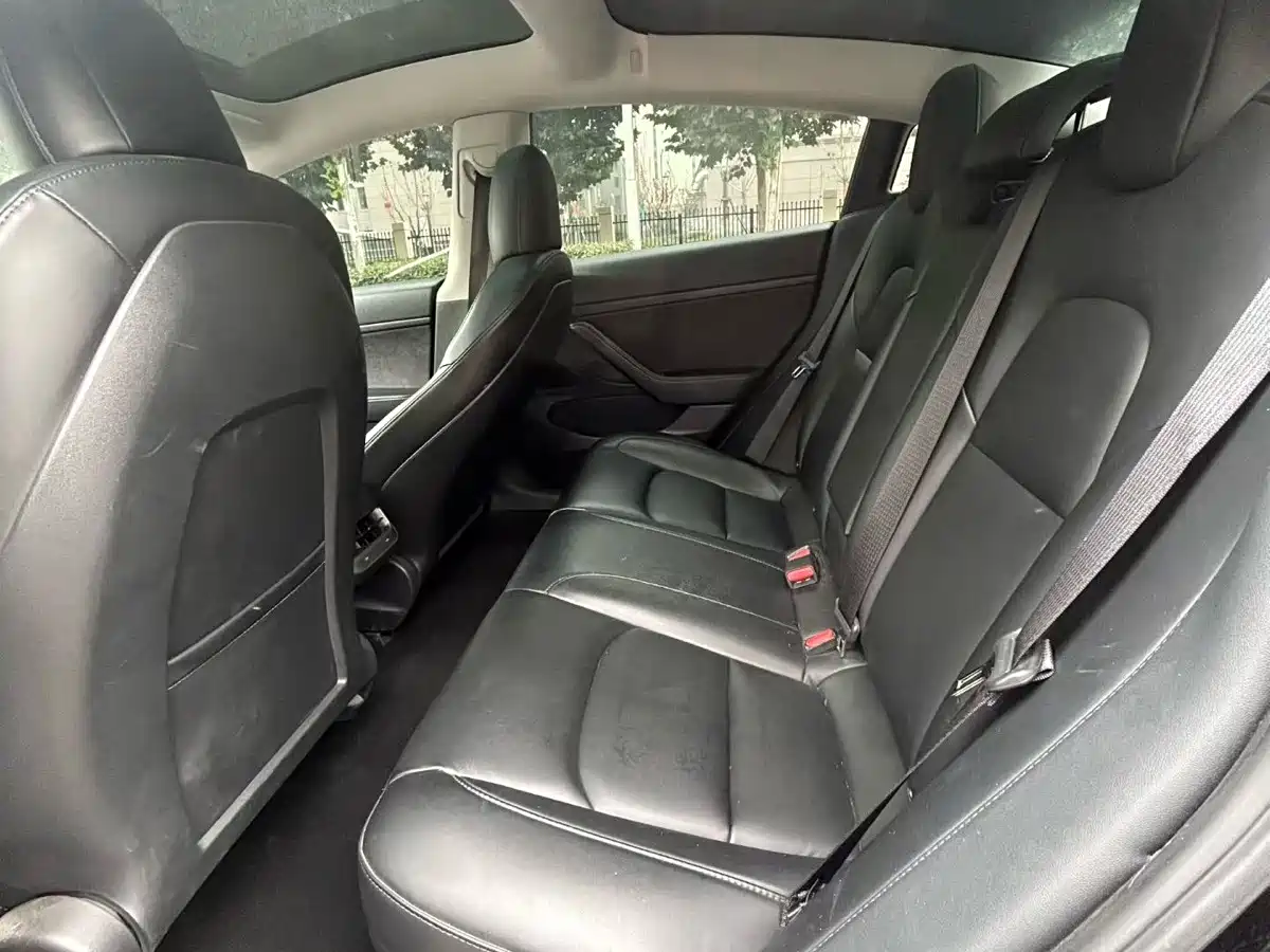 Tesla Model 3 2020 2020 Standard Range Rear-Wheel Drive Upgrade
