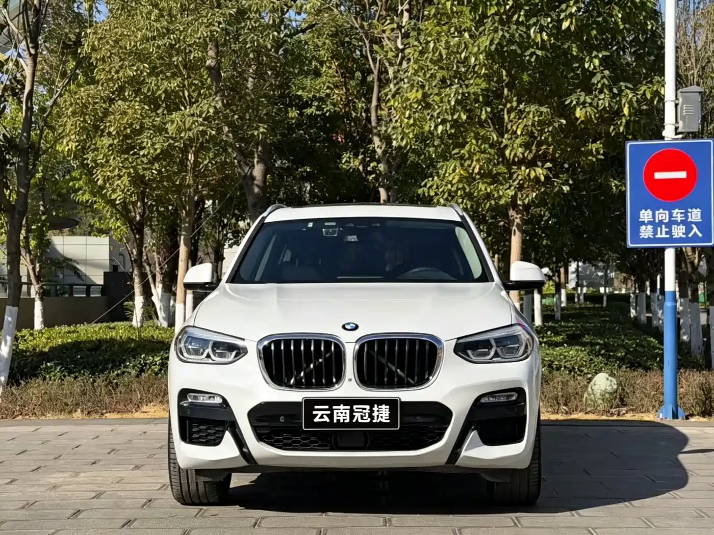 BMW X3 2018 xDrive30i Leading M Sport Package China V фото 2