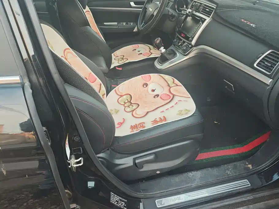 Фото 8 - Haval M6