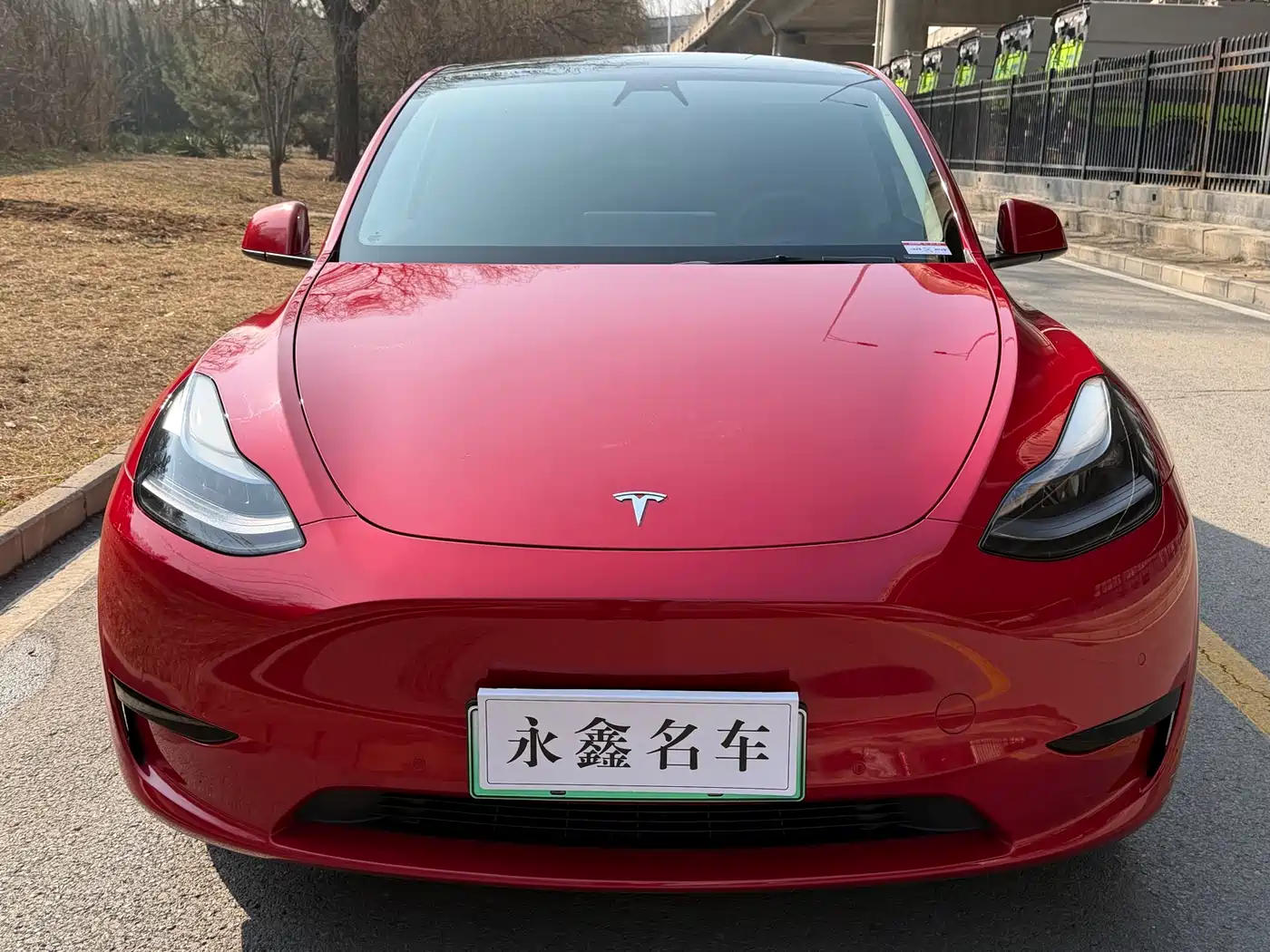 TESLA MODEL Y