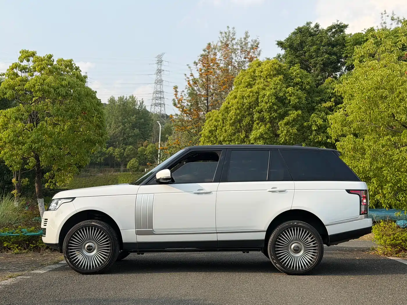 Land Rover Range Rover 2015 3.0 TDV6 Vogue фото 5