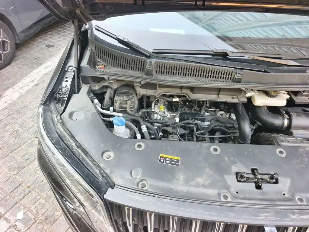 Фото 20 - Hongqi HQ9