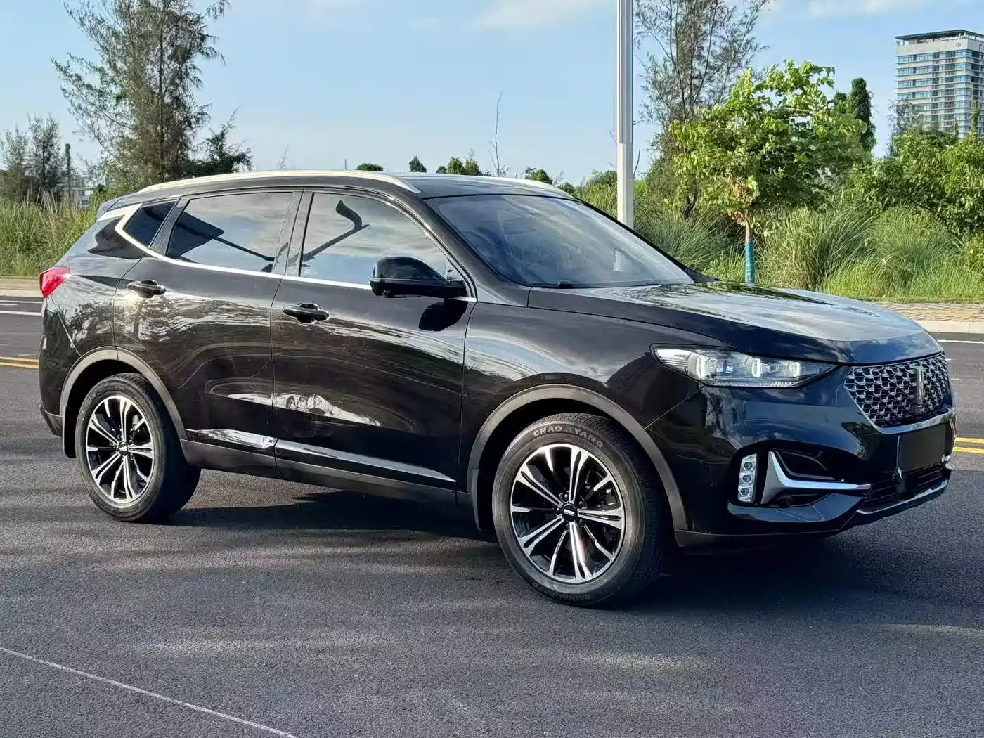WEY VV6 2020 2021 2.0T 2WD Smart Enjoyment+