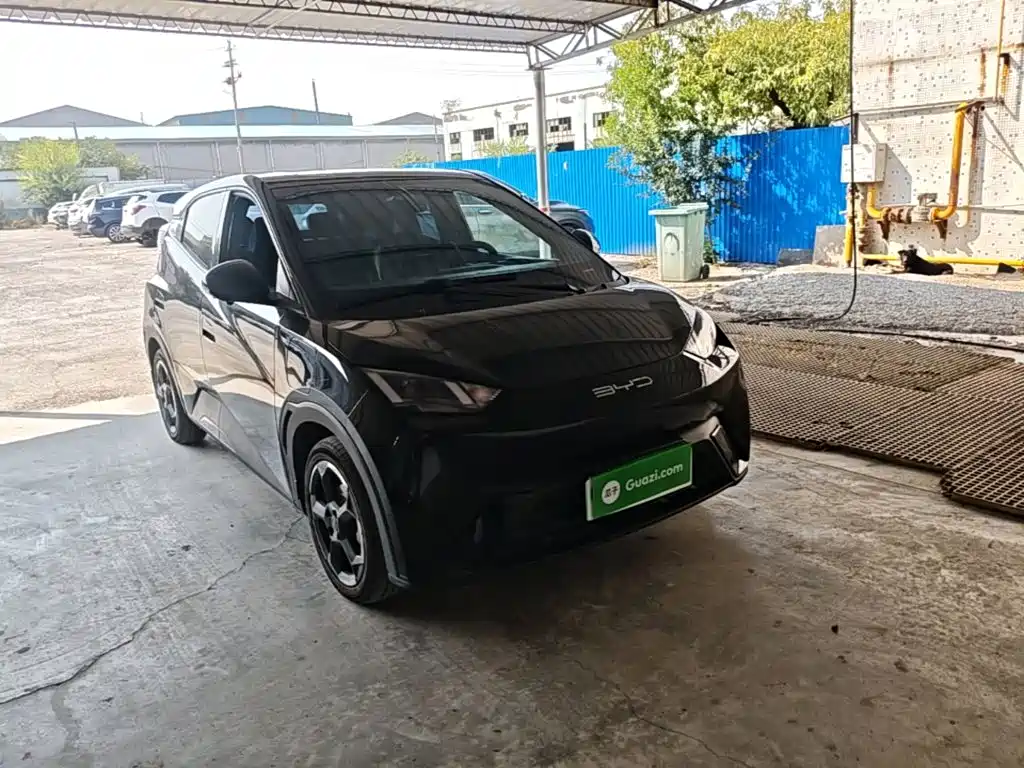 BYD Seagull 2023 2023 Flying Edition