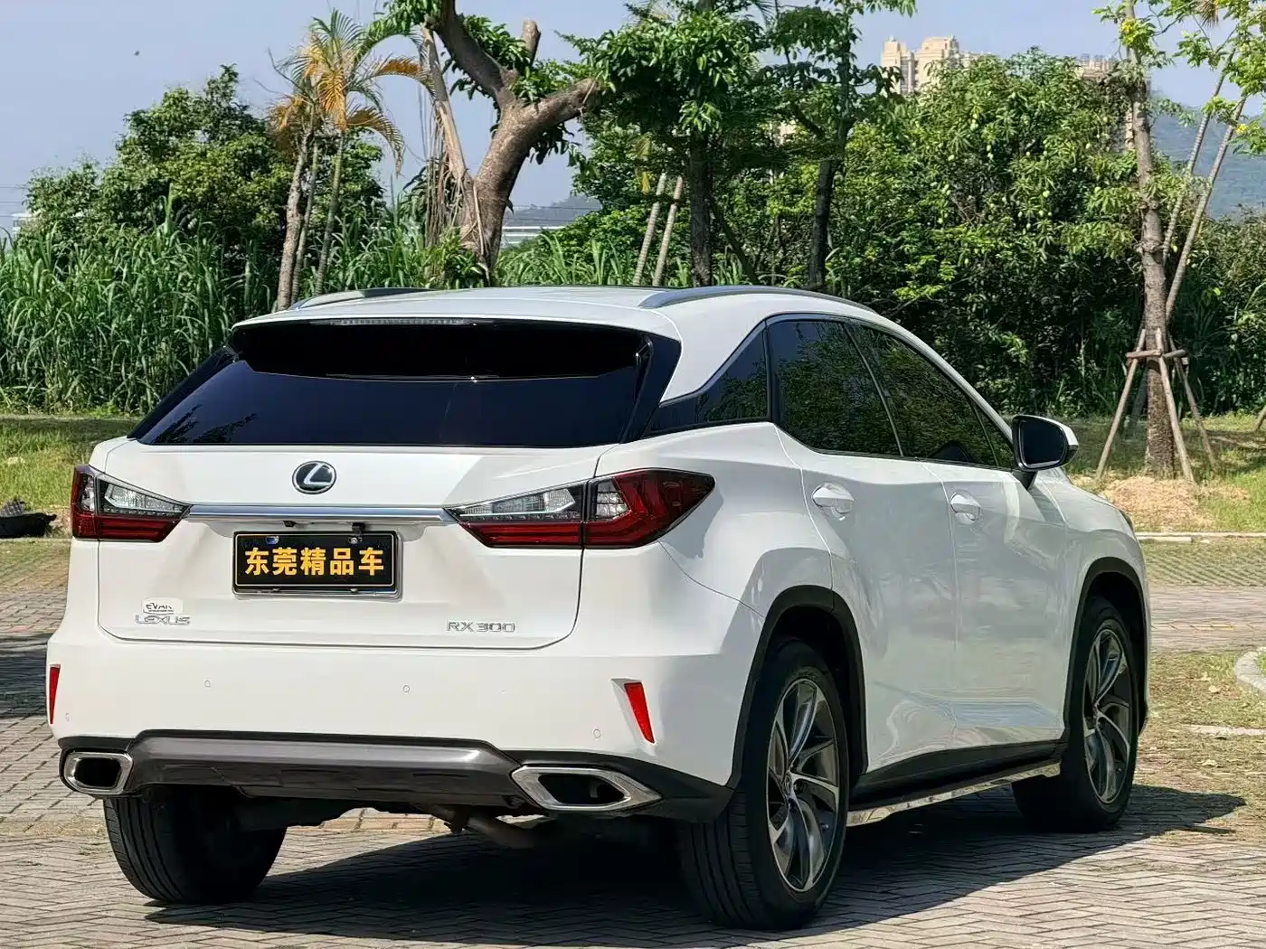 Lexus RX 2016 300 4WD Elegance Edition (China V) фото 4