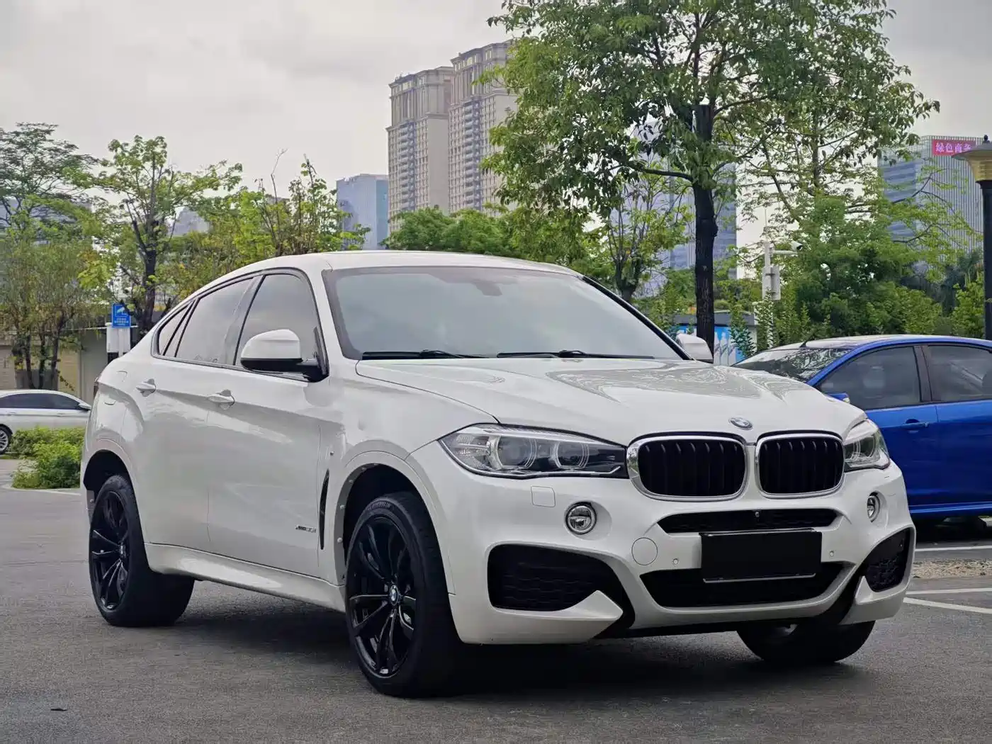 BMW X6