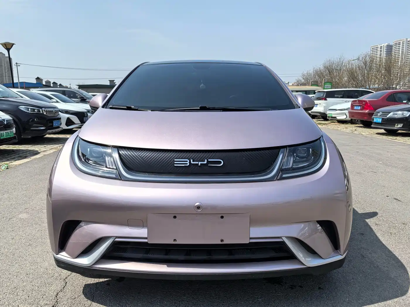 BYD Dolphin 2022 2021 Model 405km Fashion Edition