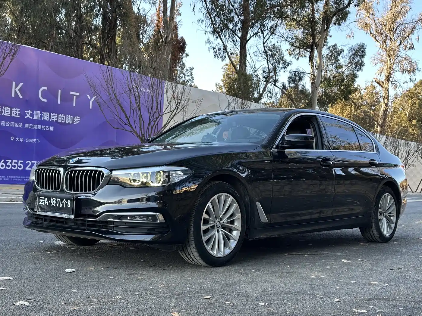 BMW 5 Series 2019 530Li Leading Luxury Package