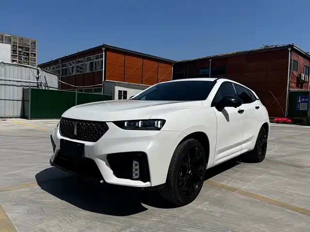 WEI PAI WEI BRAND VV7