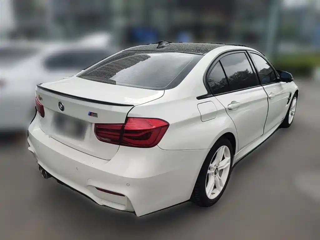 BMW 3 Series 2019 320Li M Sport Package фото 12