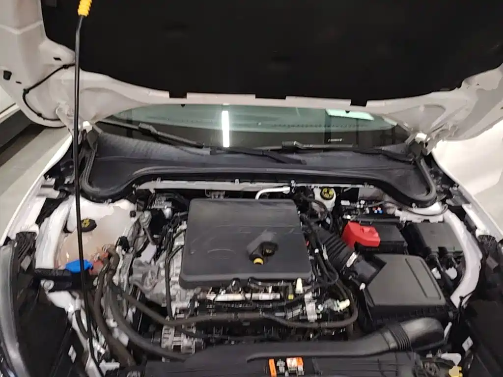 Ford Focus 2022 2021 Hatchback EcoBoost 180 Auto Trend