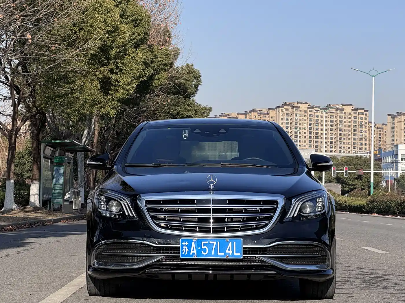 Mercedes-Benz S-Class 2019 S 320 L фото 2
