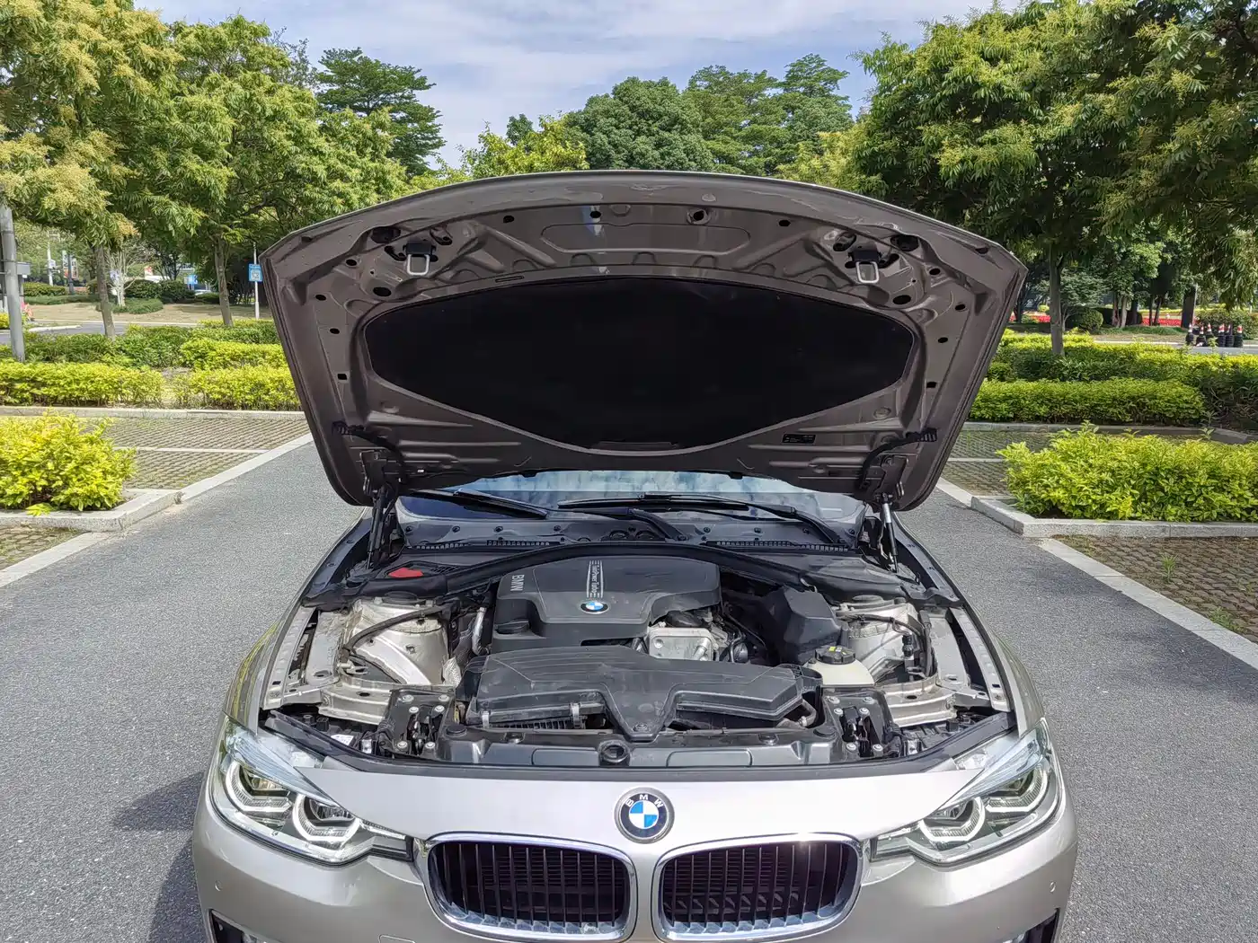 BMW 3 Series 2016 320Li Progressive фото 12