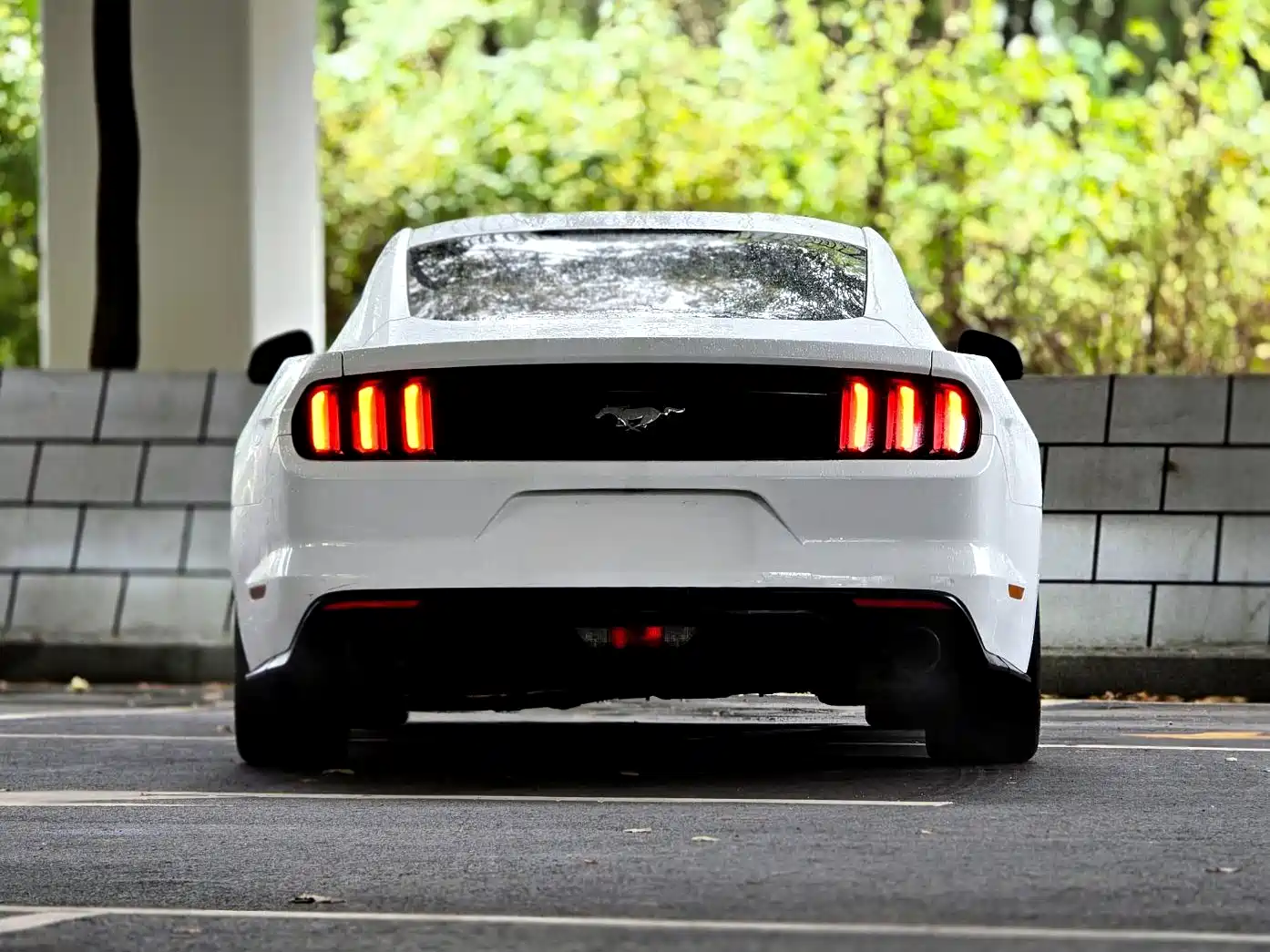 صورة 5 - Ford Mustang