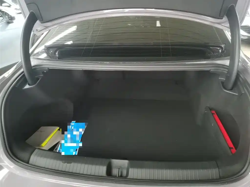 Volkswagen Passat 2025 Pro 380TSI Dragon Prestige Edition фото 19