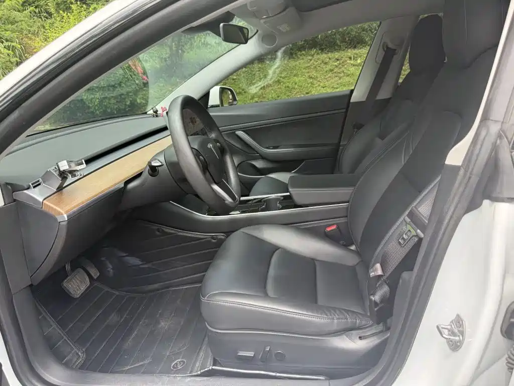 Tesla Model 3 2020 2020 Standard Range Rear-Wheel Drive Upgrade